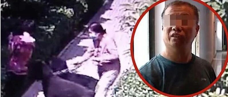 【8点见】王新刚被撤职，多人被处理！安阳通报“狗咬人”事件处理结果