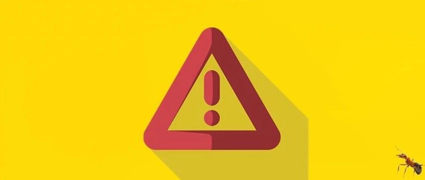 红火蚁危险!还有人当宠物卖