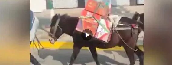 【8点见】西安大数据资源管理局局长被停职检查！