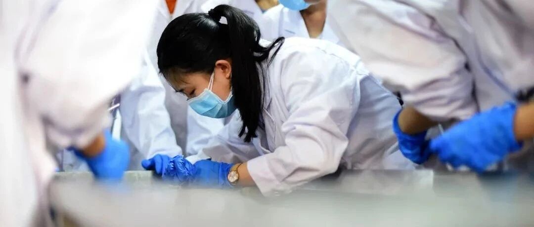 解剖台上，躺着我的解剖学老师