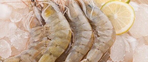 最新！江西一地海鲜外包装核酸检测呈阳性