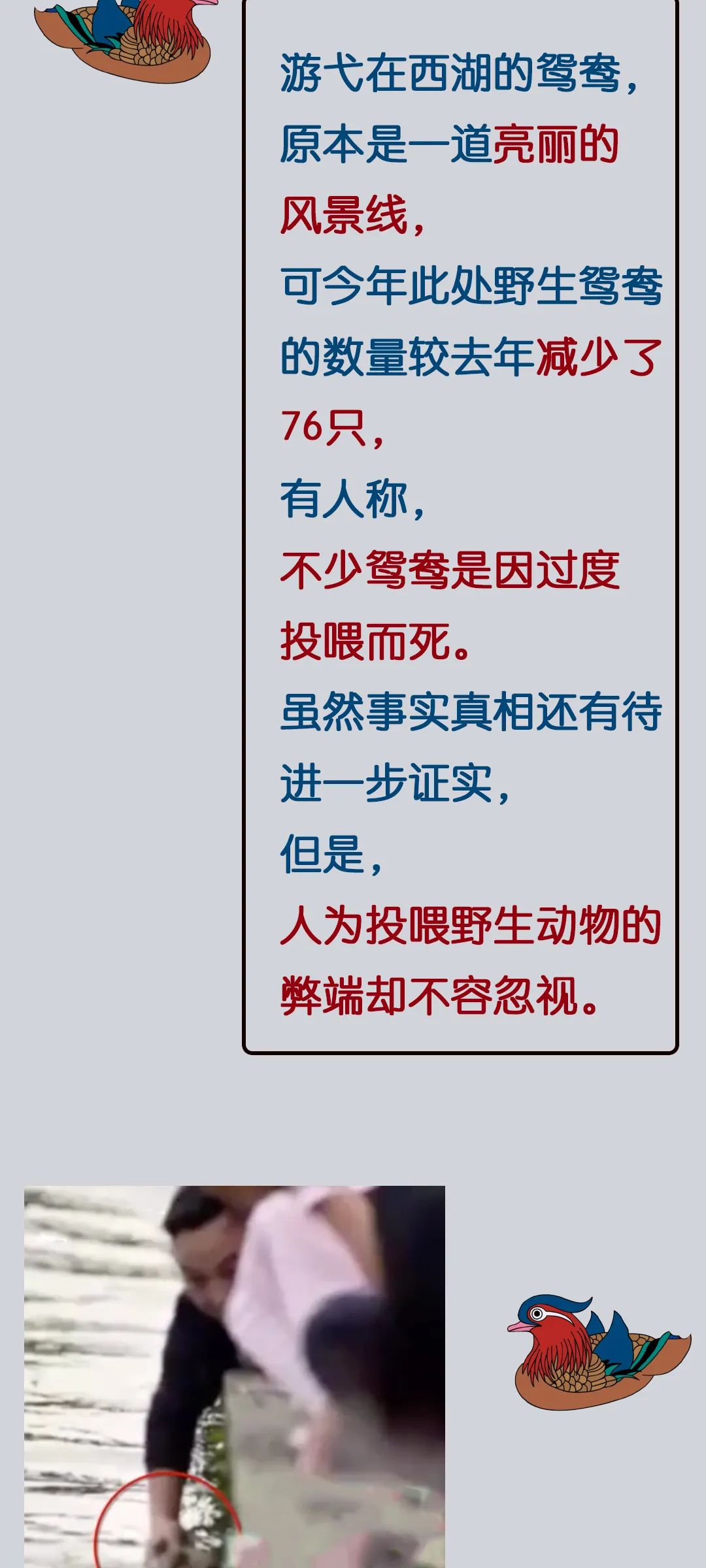 朋友们,让我们把“素质”打在留言区-微信头条网 朋友们,让我们把“素质”打在留言区