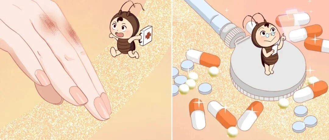 被你恨死的蟑螂，背地里不知道救过多少人的命