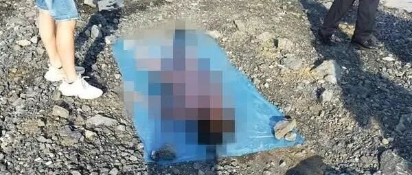 13岁女孩陈尸水塘手机存有暴力视频 警方通报