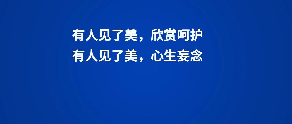 HR称可以帮下药“撩”女同事，网易回应