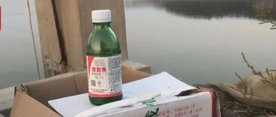 已有人被采取强制措施！