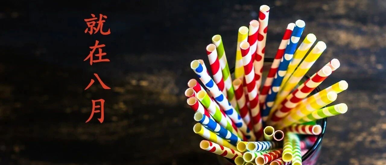 “塑料”情缘，到此为“纸”！