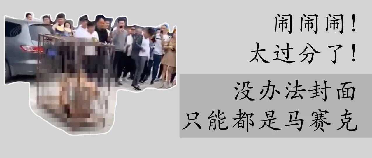 早啊 | 别闹了！