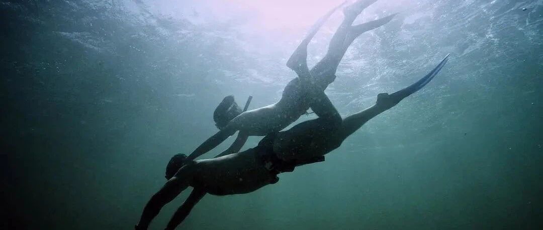 “在一起的第325天，她悄悄怀孕了，她的死期也到了”