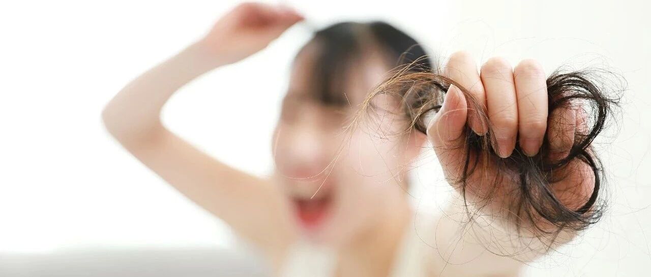 【8点见】有点“秃然”，韩国脱发人口已达1000万！