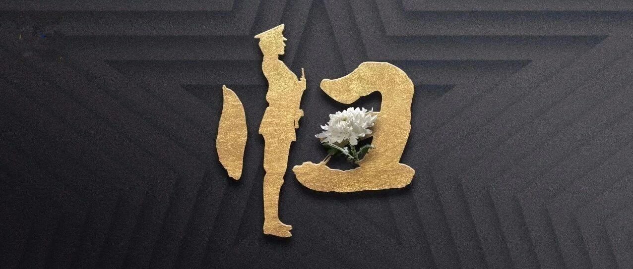 魂归故里！接烈士回家！