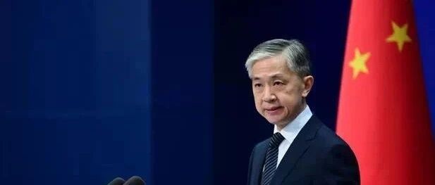 美称中国总领事用虚假身份护送旅客到机场，外交部：编造理由