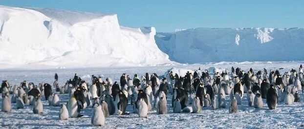 最后一块大陆“失守”！