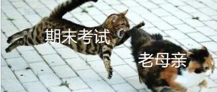 老母亲期末考试「操碎心图鉴」