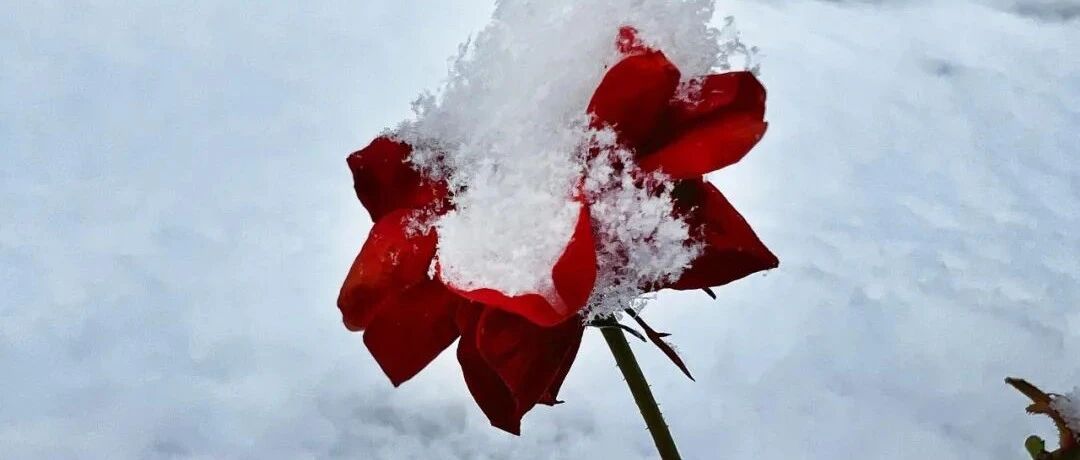 我一举击破父母的“阴谋”