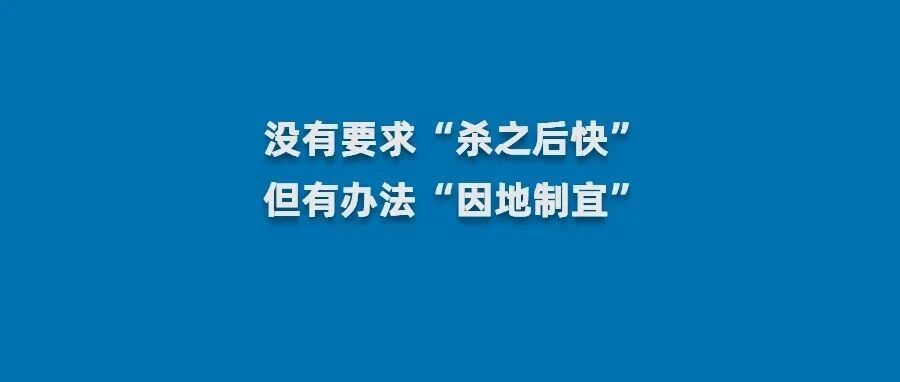 “隔离宠物狗被扑杀”，别拿别人的宠物当畜生