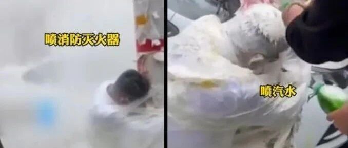 【8点见】新郎被绑树上撒面粉，荒唐的婚闹！