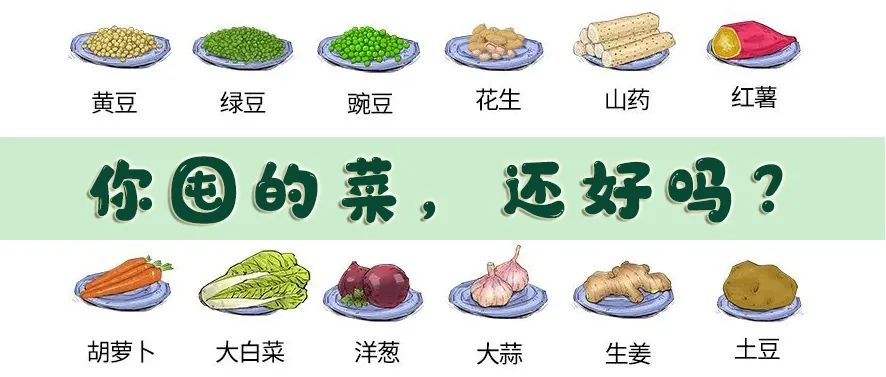 严查!谁在“收割”青苗?-微信头条网 严查!谁在“收割”青苗?