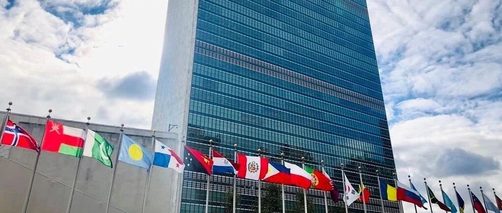 【8点见】美国正式退出世卫组织