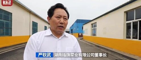 【8点见】“土坑酸菜”涉事公司董事长：我错了！