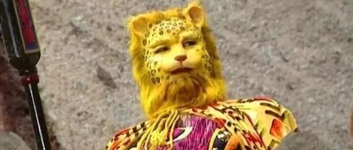 谁的头像还不是金钱豹？