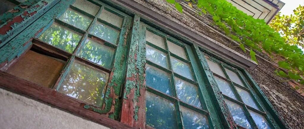 那个净身出户的女人，决心活下去……