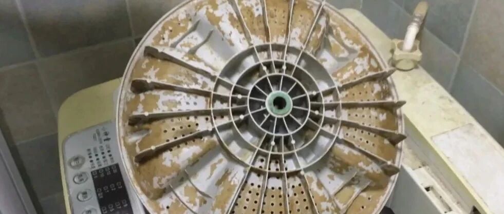 你一直在“污水”里洗衣服!洗衣机有多脏，我们拆开给你看