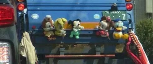 为什么垃圾车上会挂着毛绒娃娃？
