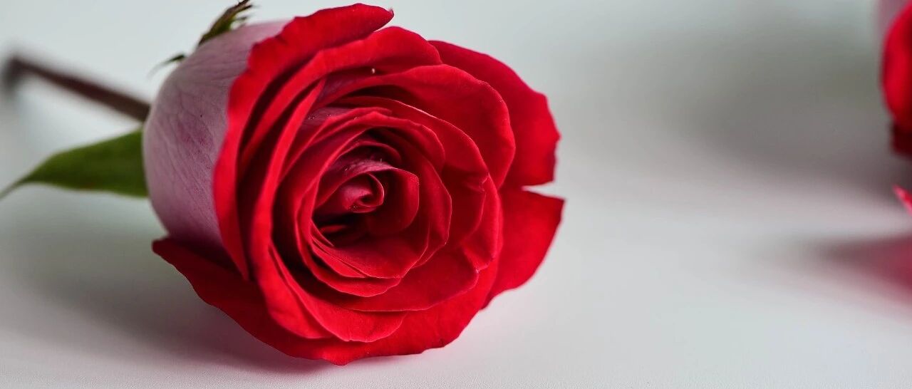 为什么是她们？