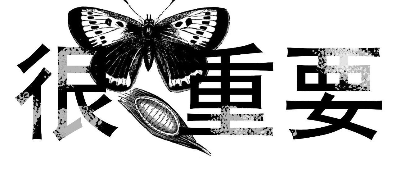 今天聊聊这个充满禁忌的话题