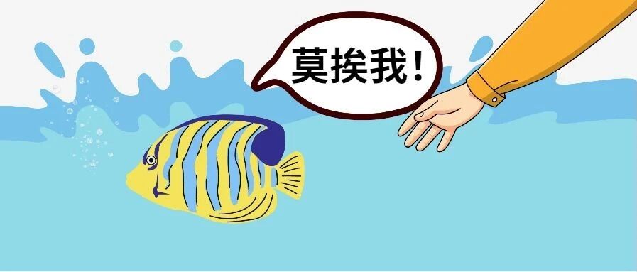 早啊 | 不 ！ 许 ！ 摸 ！ 鱼 ！