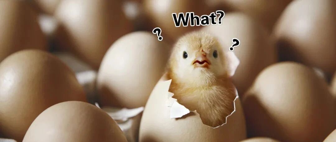 中科院之声：呵