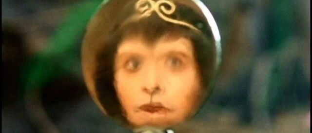 镜子里的你和照片里的你，哪个更真实?