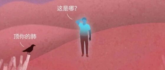 抽烟30年，你的肺都经历了什么？！