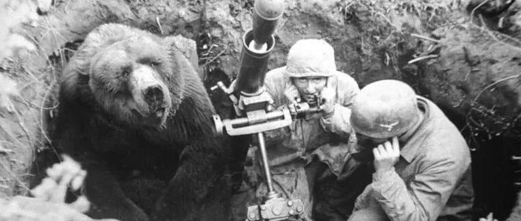 史上最嗲小熊火了：我抽烟喝酒爱花钱，但我知道自己是个乖小熊