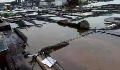 湖南某正副校长在教室“挖矿”炒币 别让师德廉耻碎一地