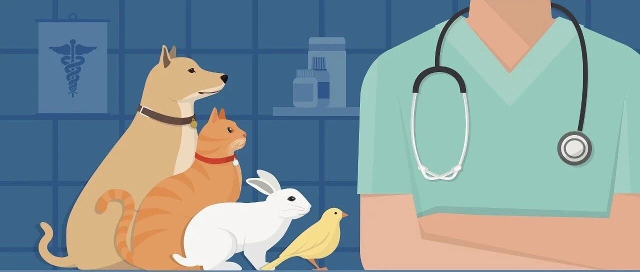 北京“毒舌”大夫火了！明明是个兽医，治的却是人