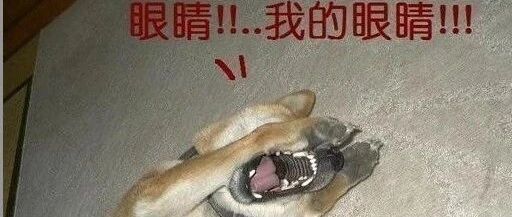 史上最难眼力测试，这张图里的12个黑点，你永远也找不全