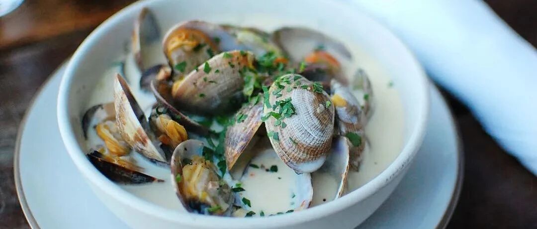 你中午吃的那只蛤蜊，也许已经好几百岁了