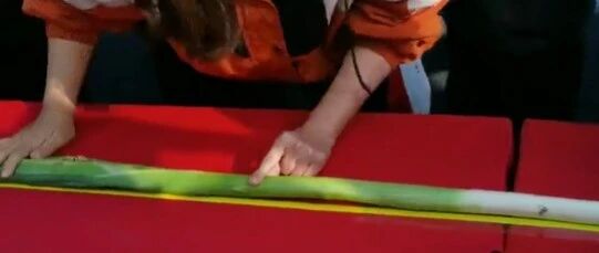 你算哪根葱？章丘大葱！