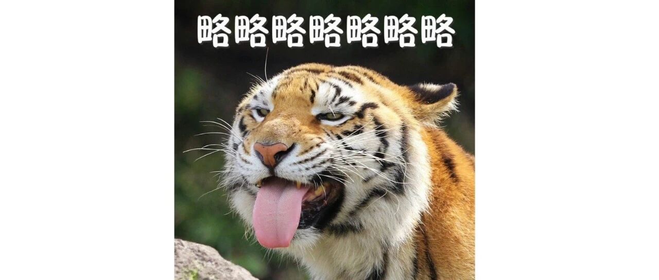 反差萌！虎作姓氏的时候，念“猫”……