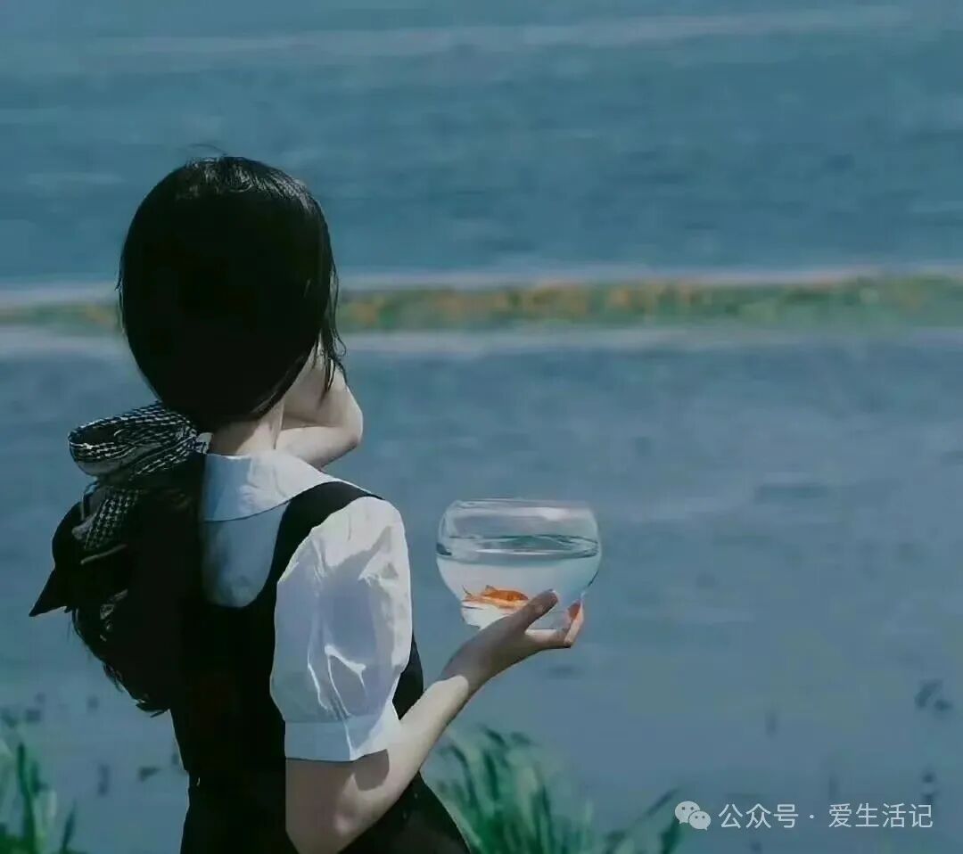 陪伴守护得词