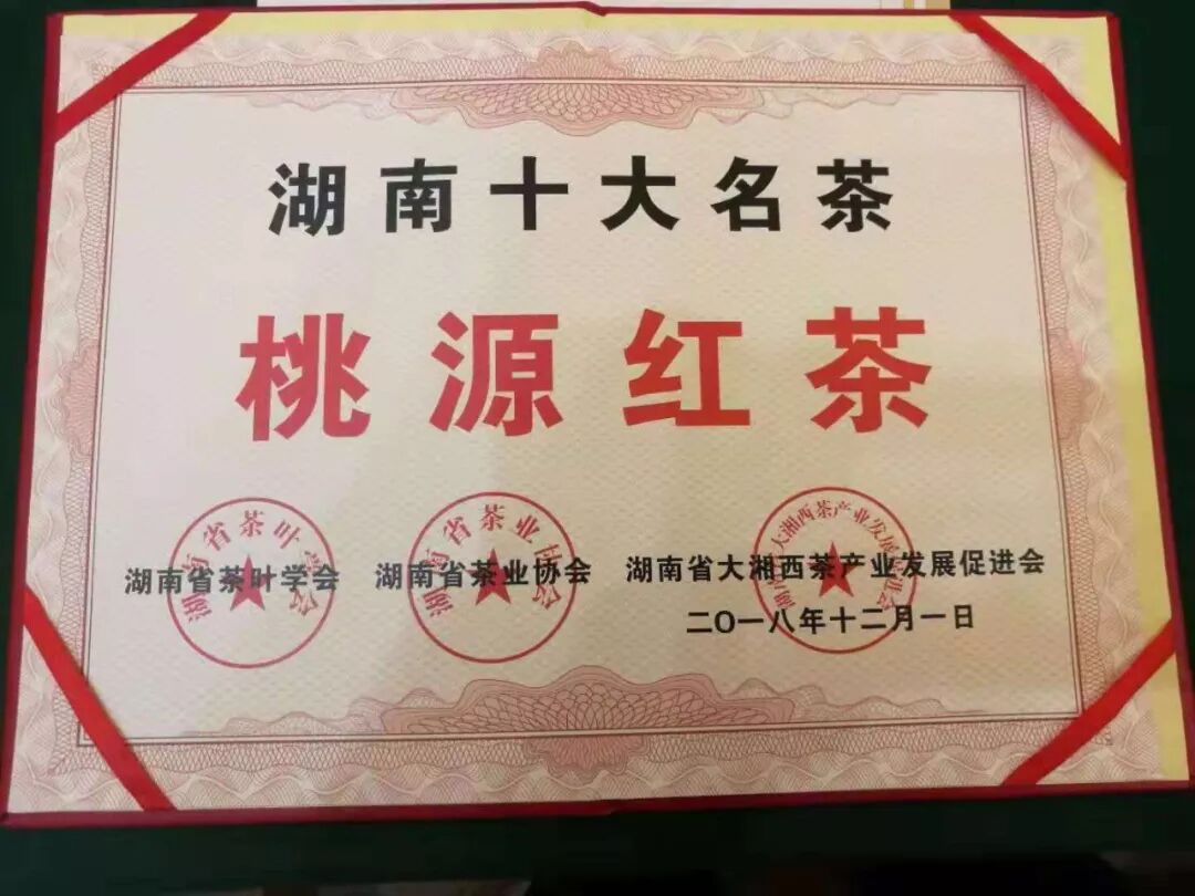我的未来不是梦——桃源红茶（内有福利，让我听到你们的声音）