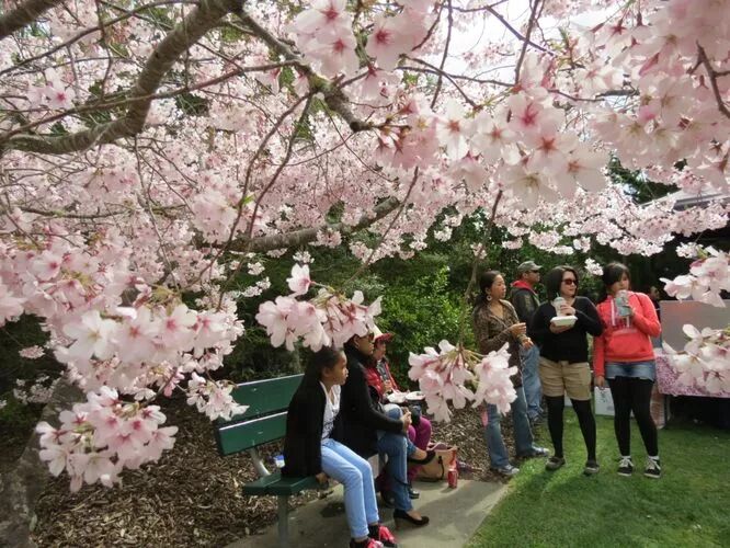 再过几天，新西兰又要让全世界羡慕了！你也要一起来刷爆朋友圈吗？！