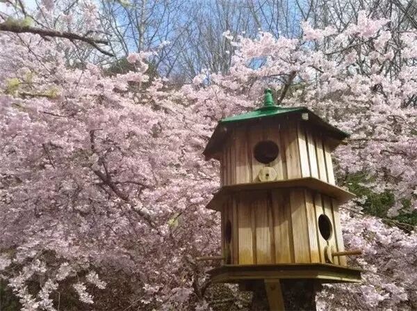 再过几天，新西兰又要让全世界羡慕了！你也要一起来刷爆朋友圈吗？！