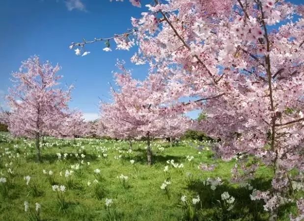 再过几天，新西兰又要让全世界羡慕了！你也要一起来刷爆朋友圈吗？！