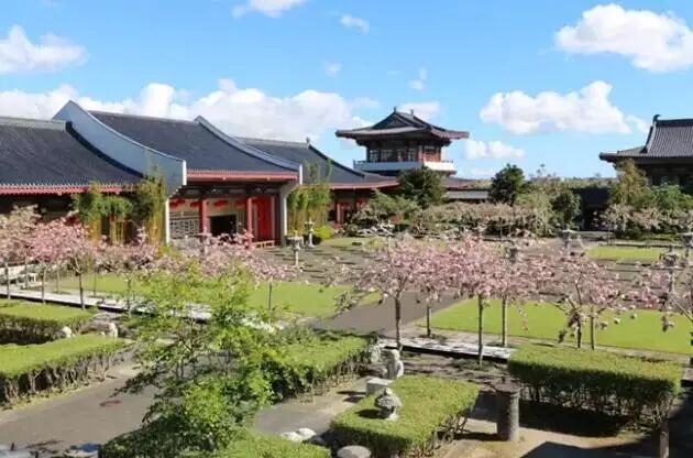 再过几天，新西兰又要让全世界羡慕了！你也要一起来刷爆朋友圈吗？！