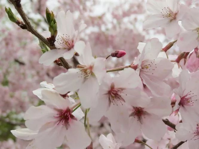 再过几天，新西兰又要让全世界羡慕了！你也要一起来刷爆朋友圈吗？！