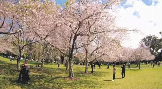 再过几天，新西兰又要让全世界羡慕了！你也要一起来刷爆朋友圈吗？！