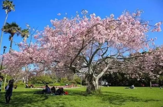 再过几天，新西兰又要让全世界羡慕了！你也要一起来刷爆朋友圈吗？！